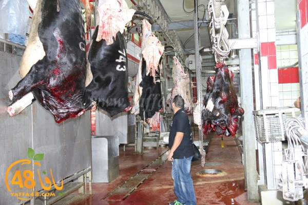 Jam3iya ada7ya (17).jpg